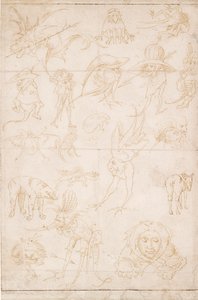 Studi Grotteschi, c1500-1520 da Hieronymus Bosch