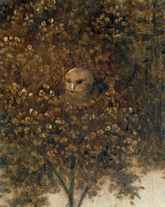 La Nef de Fous - La nave dei folli ... da Hieronymus Bosch