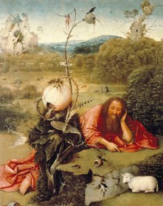 San Giovanni Battista addormentato nella natura da Hieronymus Bosch