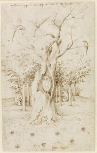 Il bosco ha orecchie, il campo ha occhi di Hieronymus Bosch (c. 1450-1516). Penna, inchiostro indiano marrone su carta, dimensioni: 20,2x12,7, c. 1500-1515, Staatliche Museen, Berlino da Hieronymus Bosch