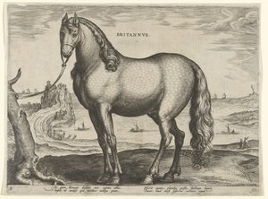 Cavallo della Bretagna