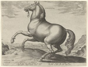 Cavallo della Francia da Hieronymus Wierix