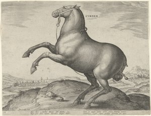 Cavallo della Scizia da Hieronymus Wierix