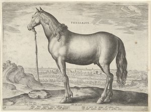 Cavallo della Tessaglia