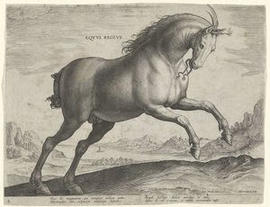 Cavallo della razza Equus Regius (il Reale) da Hieronymus Wierix