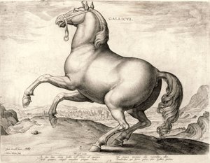 Gallicus dalla serie Cavalli dalla scuderia di Don Giovanni d