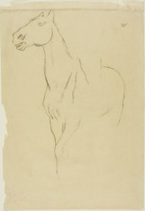Cavallo girato a tre quarti da Hilaire Germain Edgar Degas