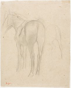 Studi su un cavallo