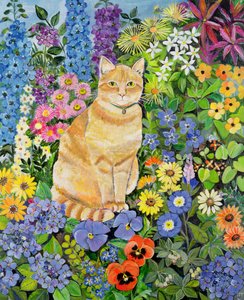 Il gatto di Gordon