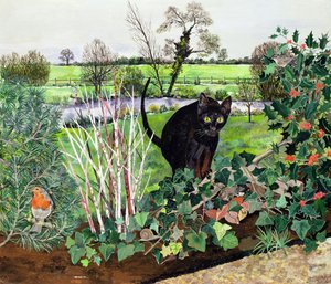 Gatto in inverno