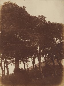 [Campo a Bonaly] da Hill and Adamson