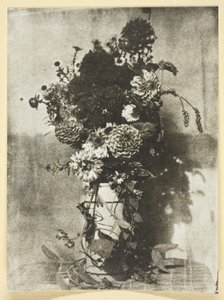 Bouquet di fiori da Hippolyte Bayard