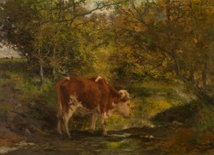  da Hippolyte Boulenger