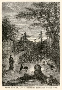 Cala la notte e Passepartout torna in città, da Il giro del mondo in ottanta giorni di Jules Verne (1828-1905) inciso da Louis Prevost, 1873
