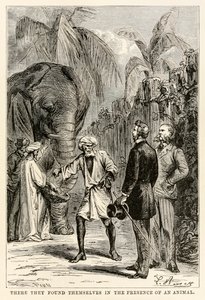 Lì si trovarono di fronte a un animale, da Il giro del mondo in ottanta giorni di Jules Verne (1828-1905) inciso da Adolphe François Pannemaker (1822-1900), 1873