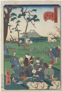 N.5, Visione dei ciliegi in fiore sulla collina di Asuka da Hirokage Utagawa