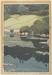 Ninfee in un giardino botanico da Hiroshi Yoshida