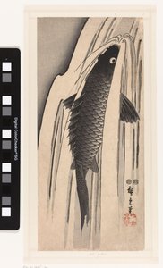 Carpa che nuota contro una cascata da Hiroshige (I) , Utagawa