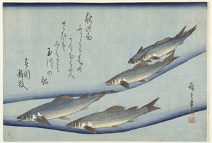 Trota da Hiroshige (I) , Utagawa