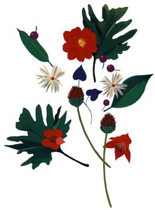 Un fiore che ti fa immaginare il Natale da Hiroyuki Izutsu