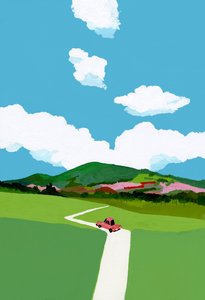 Guidare attraverso il prato in una macchina rossa