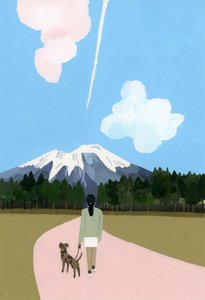 Passeggiata con cane e scia di aereo