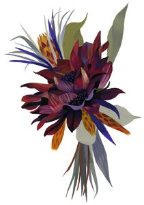 Dalia selvatica