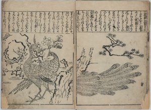 Una collezione di fiori e uccelli (Kacho zukushi) da Hishikawa Moronobu