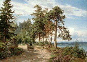 Strada in Finlandia da Hjalmar Munsterhjelm