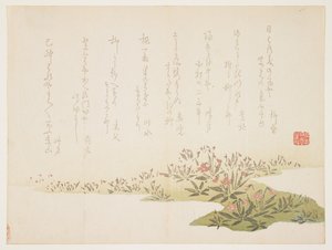 Viole, c.1848-53