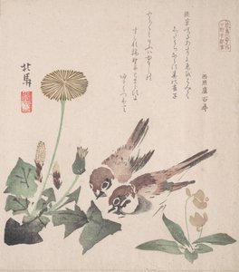 Collezione Pioggia di Primavera Harusame shu, vol. 3: Passeri e Denti di Leone da Hokuba