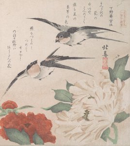 Collezione Pioggia di Primavera Harusame shu, vol. 3: Rondini e peonie, ca. 1820 da Hokuba