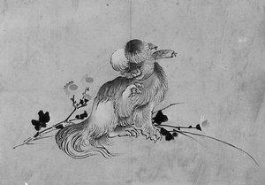 Pechinese, XIX secolo