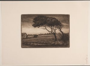 Paesaggio autunnale da Holger Valdemar Rasmussen Magaard