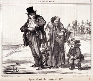 Cartone animato sulla viticoltura. Serie "Schizzo d