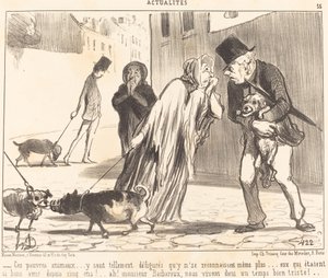 Questi poveri animali... non si riconoscono più... da Honoré Daumier