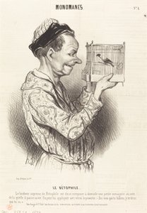 Il Betofilo