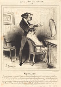 Il pappagallo