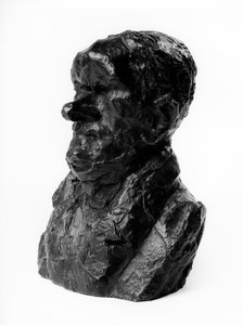 I busti caricati delle "Celebrità del Giusto Mezzo". Caricatura di Auguste Ganneron, deputato e industriale. Il timido. Scultura di Honore Daumier da Honoré Daumier