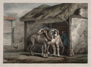 Cavallo da fattoria da Emile Jean Horace Vernet