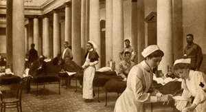 Boero e britannico curati insieme, 1900, 1933 da Horace Walter Nicholls