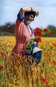 La rosa inglese, c1922 da Horace Walter Nicholls
