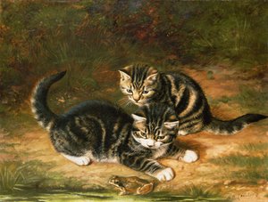 Gattini