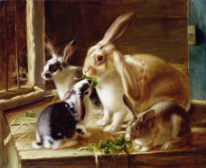 Conigli dalle orecchie lunghe in una gabbia, osservati da un gatto