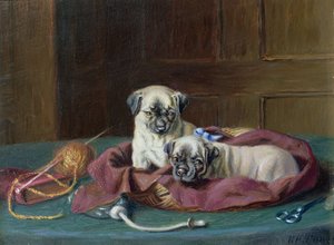 Cuccioli di carlino in un cesto da Horatio Henry Couldery