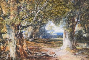 Nel bosco da Horatio McCulloch