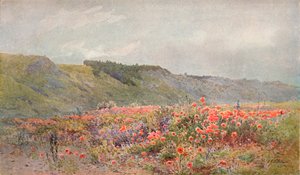La valle dei papaveri, c1879-1903, 1903