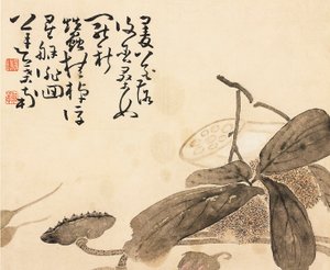 Foglia di album dipinta - Pianta di loto, XVIII secolo