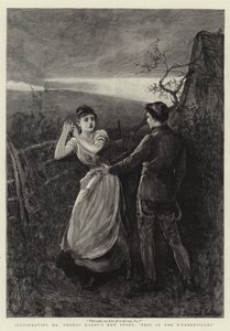 Tess dei D