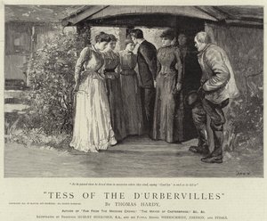 Tess dei d